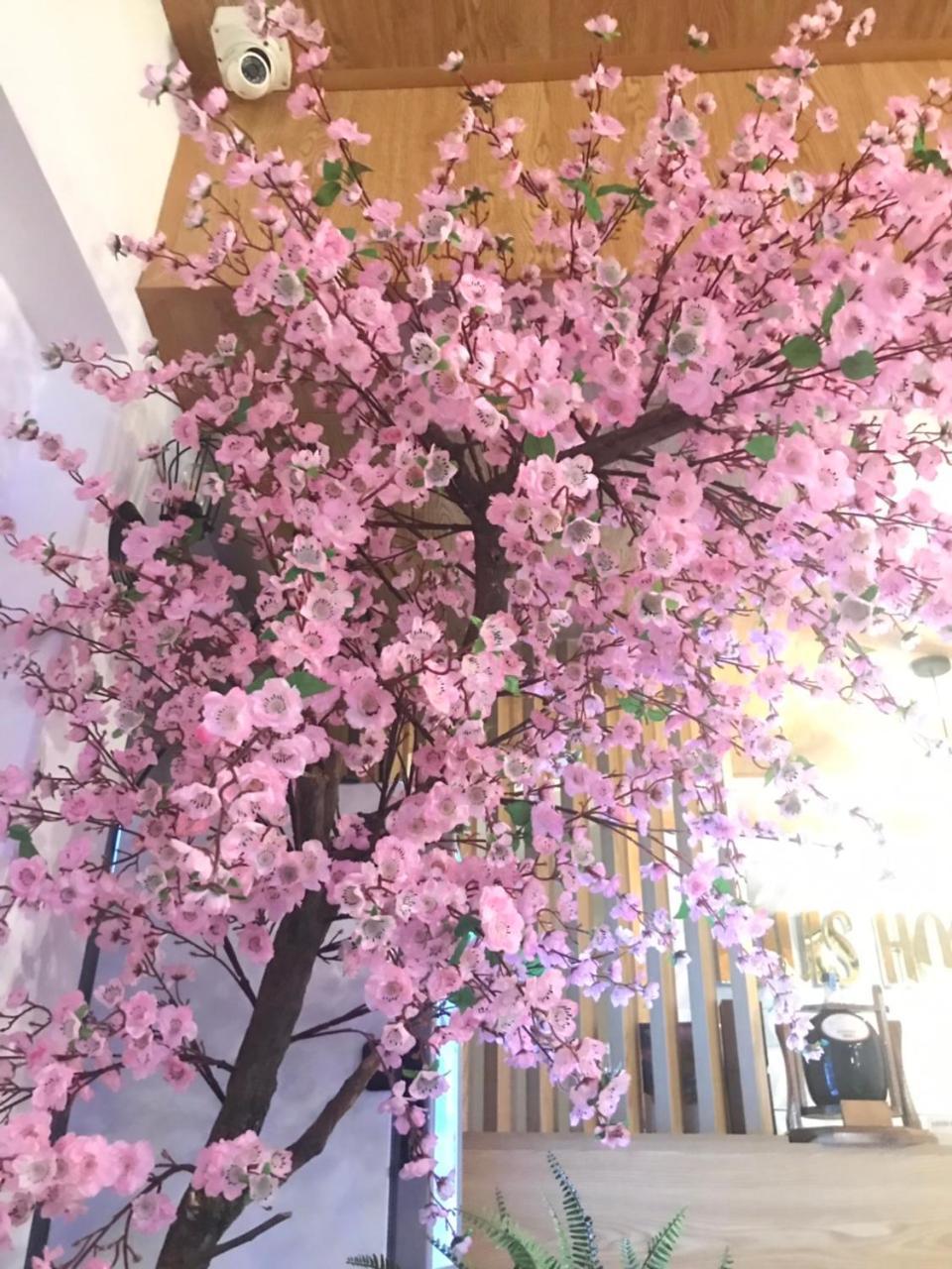Louis Hotel - Bui Vien Walking Street Хошимин Екстериор снимка